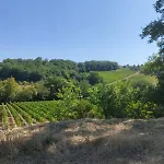 Grande Maison 14 Personnes Au Calme Entre Bordeaux Et Blaye *